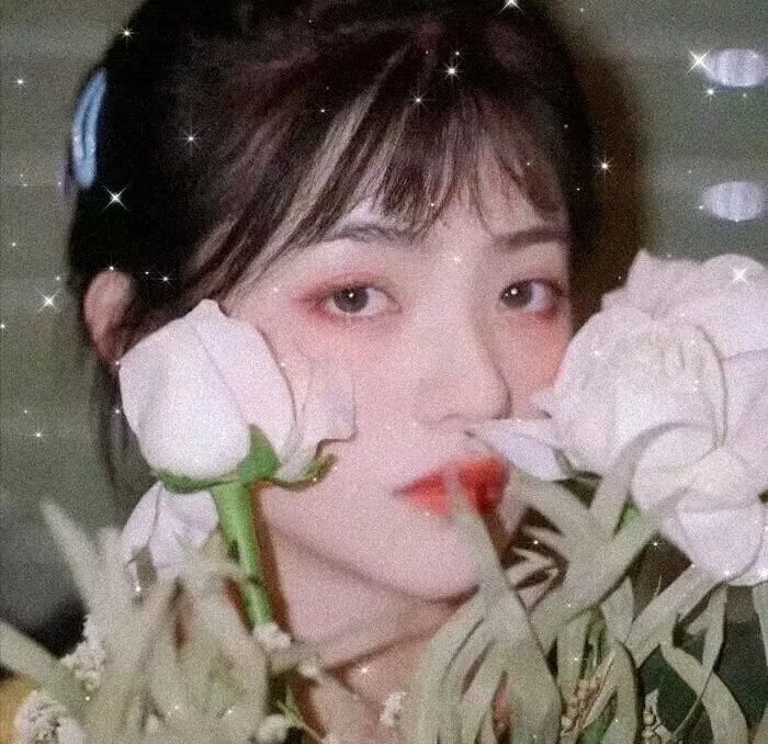 江户前的废柴精灵