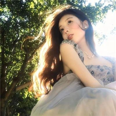 动物宝宝